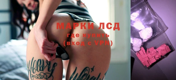 эйфоретик Пересвет