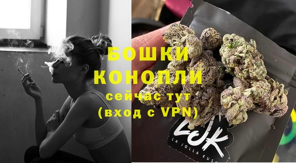 эйфоретик Пересвет