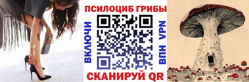 Псилоцибиновые грибы Psilocybine cubensis  цены   Галич 